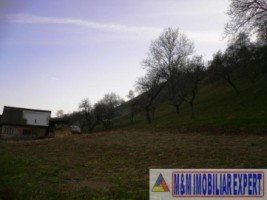 teren-intravilan-4614-mp-de-vanzare-in-valea-romanestilor-campulung-muscel-arges-1