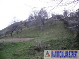teren-intravilan-4614-mp-de-vanzare-in-valea-romanestilor-campulung-muscel-arges-2