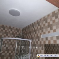 vila-8-camere-teren-4976-mp-de-vanzare-cu-teren-generos-in-dambovicioara-arges-8