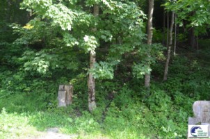 predeal-teren-intravilan-de-vanzare-zona-paraul-rece