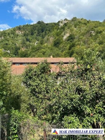 vila-cu-6-camere-si-teren-de-955-mp-de-vanzare-in-cetateni-arges-ideala-pentru-locuinta-spatioasa-de-familie-7