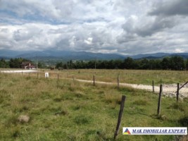 rezervat-ian-2026-teren-intravilan-2001-mp-in-campulung-muscel-arges-oportunitate-perfecta-pentru-proiecte-imobiliare-1