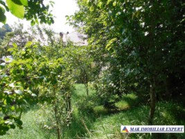 teren-intravilan-4200-mp-de-vanzare-in-bughea-de-jos-oportunitate-excelenta-pentru-dezvoltari-rezidentiale-5