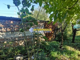 casa-de-vanzare-cu-600-mp-teren-in-centru-la-strada-asfaltata-11