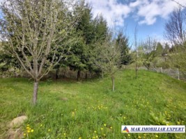 vila-cu-6-camere-si-teren-de-1512-mpde-vanzare-rucar-arges-18