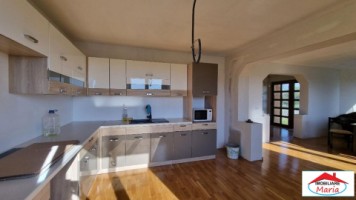 casa-in-cionchesti-cu-teren-22-ari-5