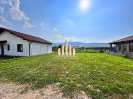 teren-intravilan-de-vanzare-in-micesti-3
