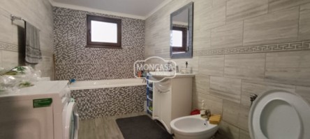 casa-pm-in-baiceni-comcurtesti-150000-euro-11
