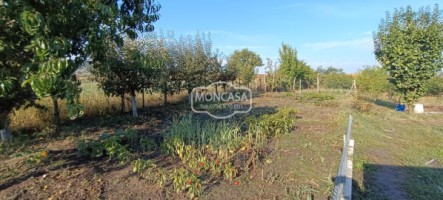 casa-2-camere-in-sat-cismea-com-rachiti-teren-1804-mp-12