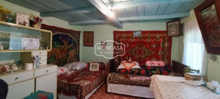 casa-batraneasca-cu-2-camere-in-com-curtesti-satbaiceni-teren-7169-mp-9