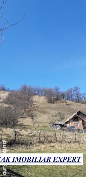 teren-3979-mp-intraextravilan-de-vanzare-in-valea-romanestilor-campulung-muscel-arges-ideal-pentru-proiecte-rezidentiale-sau-agricole