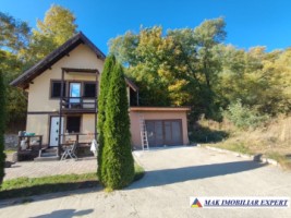 vila-2-corpuri-cu-teren-4500-mp-de-vanzare-in-apa-sarata-campulung-muscel-arges-ideala-pentru-familie-extinsa-sau-pensiune-6