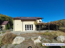 vila-2-corpuri-cu-teren-4500-mp-de-vanzare-in-apa-sarata-campulung-muscel-arges-ideala-pentru-familie-extinsa-sau-pensiune-5