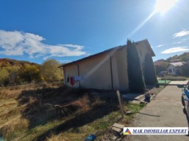 vila-2-corpuri-cu-teren-4500-mp-de-vanzare-in-apa-sarata-campulung-muscel-arges-ideala-pentru-familie-extinsa-sau-pensiune-10