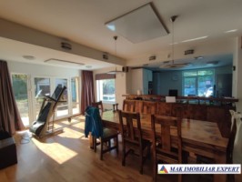 vila-2-corpuri-cu-teren-4500-mp-de-vanzare-in-apa-sarata-campulung-muscel-arges-ideala-pentru-familie-extinsa-sau-pensiune-15
