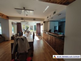 vila-2-corpuri-cu-teren-4500-mp-de-vanzare-in-apa-sarata-campulung-muscel-arges-ideala-pentru-familie-extinsa-sau-pensiune-17