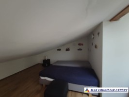 vila-2-corpuri-cu-teren-4500-mp-de-vanzare-in-apa-sarata-campulung-muscel-arges-ideala-pentru-familie-extinsa-sau-pensiune-33