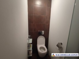 vila-2-corpuri-cu-teren-4500-mp-de-vanzare-in-apa-sarata-campulung-muscel-arges-ideala-pentru-familie-extinsa-sau-pensiune-42