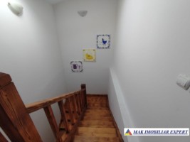 vila-2-corpuri-cu-teren-4500-mp-de-vanzare-in-apa-sarata-campulung-muscel-arges-ideala-pentru-familie-extinsa-sau-pensiune-38