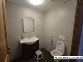 vila-2-corpuri-cu-teren-4500-mp-de-vanzare-in-apa-sarata-campulung-muscel-arges-ideala-pentru-familie-extinsa-sau-pensiune-45