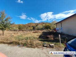 vila-2-corpuri-cu-teren-4500-mp-de-vanzare-in-apa-sarata-campulung-muscel-arges-ideala-pentru-familie-extinsa-sau-pensiune-54