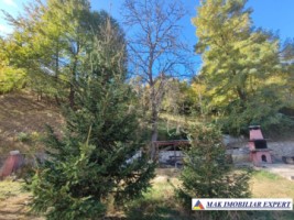 vila-2-corpuri-cu-teren-4500-mp-de-vanzare-in-apa-sarata-campulung-muscel-arges-ideala-pentru-familie-extinsa-sau-pensiune-55