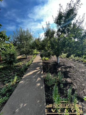 casa-530-mp-teren-3300-mp-zona-catamarasti-deal-pret-260000-euro-negociabil-7