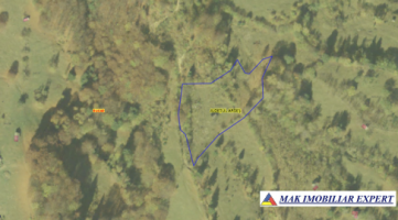 teren-extravilan-5405-mp-de-vanzare-in-salpis-rucar-arges-oportunitate-pentru-activitati-agricole