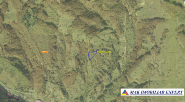 teren-extravilan-5405-mp-de-vanzare-in-salpis-rucar-arges-oportunitate-pentru-activitati-agricole-1