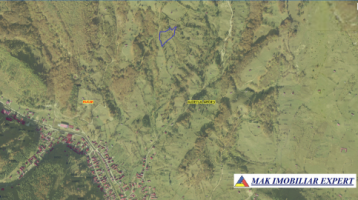 teren-extravilan-5405-mp-de-vanzare-in-salpis-rucar-arges-oportunitate-pentru-activitati-agricole-2