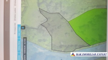 teren-extravilan-5405-mp-de-vanzare-in-salpis-rucar-arges-oportunitate-pentru-activitati-agricole-3