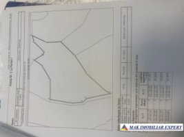teren-extravilan-5405-mp-de-vanzare-in-salpis-rucar-arges-oportunitate-pentru-activitati-agricole-4