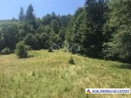 teren-intravilan-161-ha-de-vanzare-in-bughea-de-sus-1