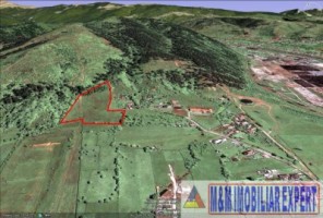 teren-intravilan-161-ha-de-vanzare-in-bughea-de-sus-3