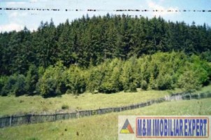 teren-intravilan-161-ha-de-vanzare-in-bughea-de-sus
