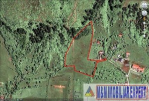 teren-intravilan-161-ha-de-vanzare-in-bughea-de-sus-8
