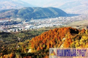 teren-intravilan-161-ha-de-vanzare-in-bughea-de-sus-7