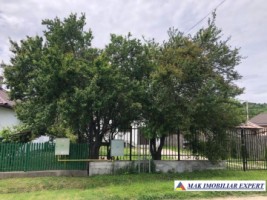 vila-noua-p1-cu-4-camere-si-teren-de-1450-mp-de-vanzare-stalpeni-arges-14