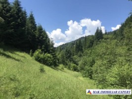 teren-intravilan-de-1-ha-de-vanzare-in-valea-cheii-dambovicioara-arges