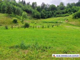 teren-intravilan-6000-mp-de-vanzare-in-valea-cheii-dambovicioara-arges-ideal-pentru-dezvoltari-turistice-si-rezidentiale