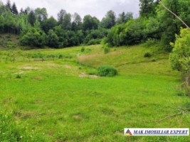 teren-intravilan-6000-mp-de-vanzare-in-valea-cheii-dambovicioara-arges-ideal-pentru-dezvoltari-turistice-si-rezidentiale-1