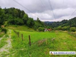 teren-intravilan-6000-mp-de-vanzare-in-valea-cheii-dambovicioara-arges-ideal-pentru-dezvoltari-turistice-si-rezidentiale-6