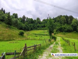 teren-intravilan-6000-mp-de-vanzare-in-valea-cheii-dambovicioara-arges-ideal-pentru-dezvoltari-turistice-si-rezidentiale-7