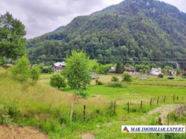 teren-intravilan-6000-mp-de-vanzare-in-valea-cheii-dambovicioara-arges-ideal-pentru-dezvoltari-turistice-si-rezidentiale-3
