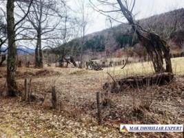 teren-de-5500-mp-intraextravilan-de-vanzare-in-dragoslavele-arges-2