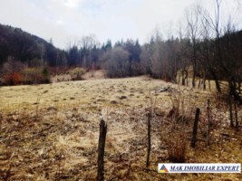 teren-de-5500-mp-intraextravilan-de-vanzare-in-dragoslavele-arges-3