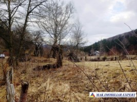 teren-de-5500-mp-intraextravilan-de-vanzare-in-dragoslavele-arges-4