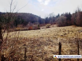 teren-de-5500-mp-intraextravilan-de-vanzare-in-dragoslavele-arges