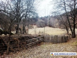 teren-de-5500-mp-intraextravilan-de-vanzare-in-dragoslavele-arges-6