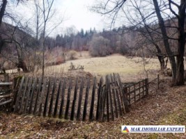 teren-de-5500-mp-intraextravilan-de-vanzare-in-dragoslavele-arges-5